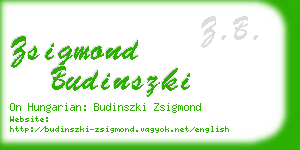 zsigmond budinszki business card
